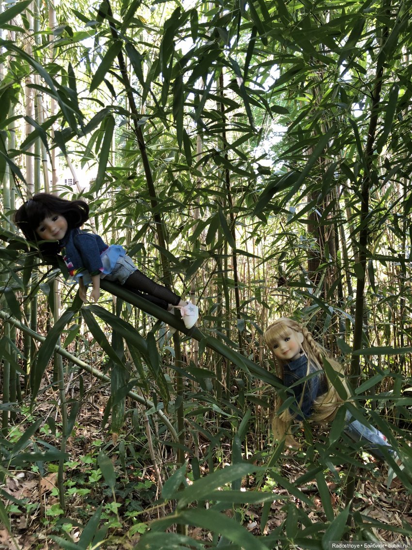 Бамбуковая роща — Куклы Dianna Effner (Эффнер) из винила: Little Darling (фото 7)