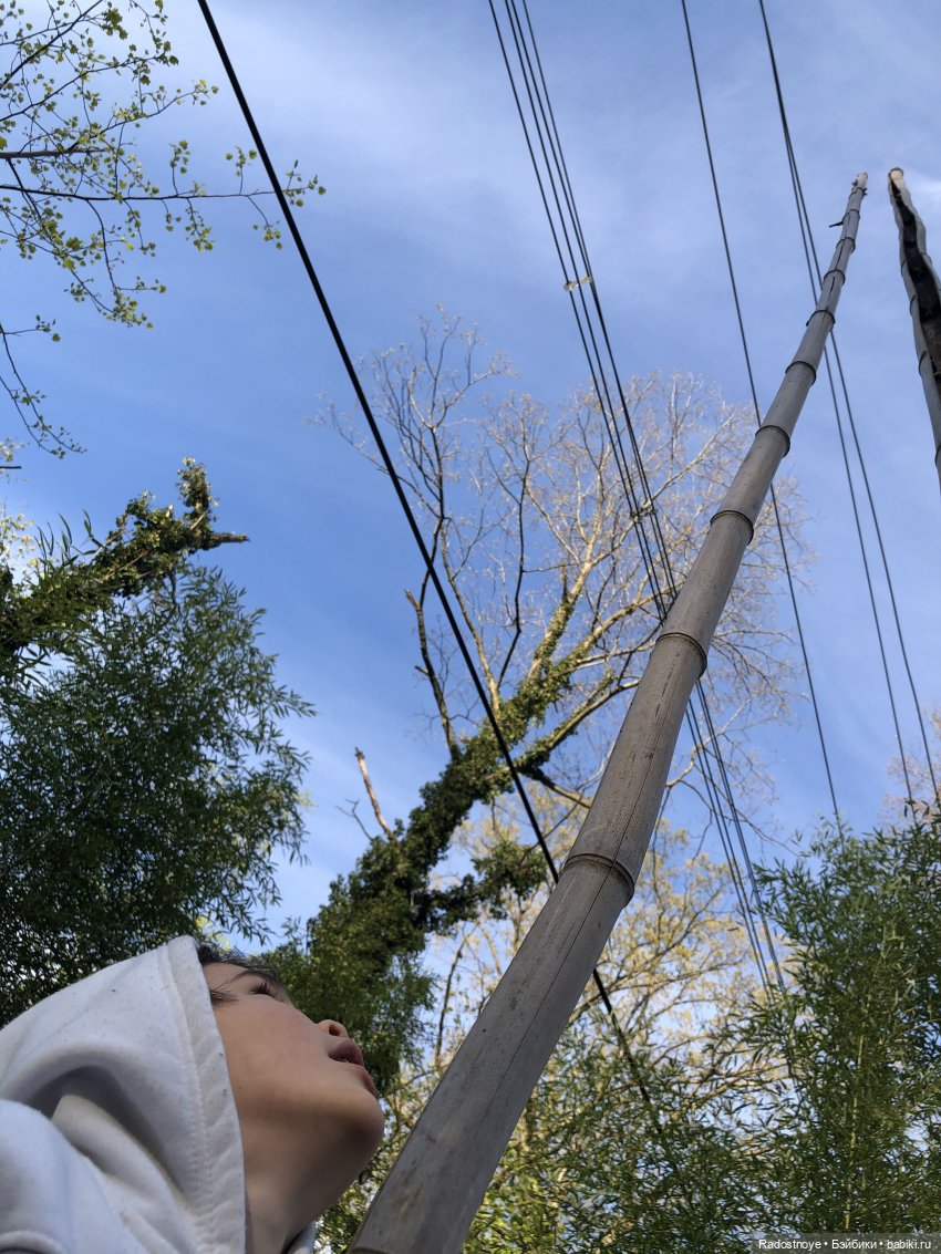 Бамбуковая роща — Куклы Dianna Effner (Эффнер) из винила: Little Darling (фото 6)