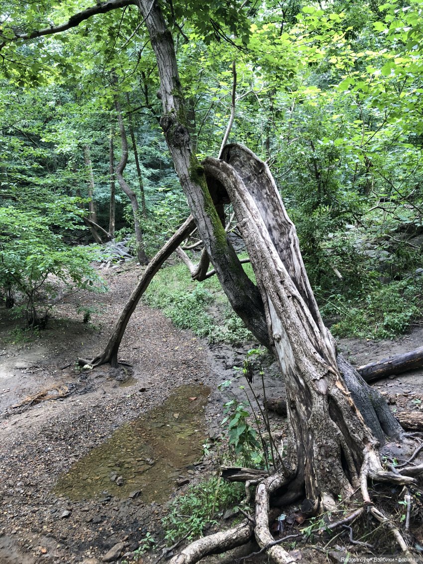 Доярушка. Постконкурс — Куклы Susi Eimer (Сюзи Эймер): Gotz (фото 9)