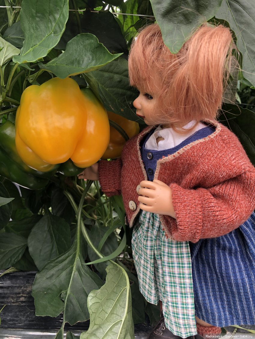 Доярушка. Постконкурс — Куклы Susi Eimer (Сюзи Эймер): Gotz