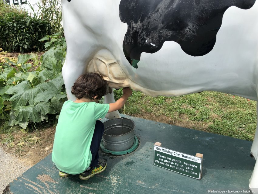 Доярушка. Постконкурс — Куклы Susi Eimer (Сюзи Эймер): Gotz