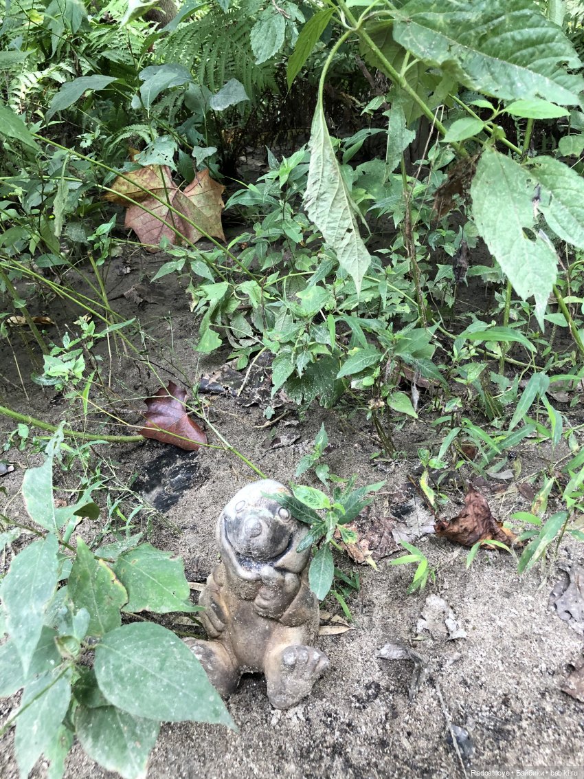 Доярушка. Постконкурс — Куклы Susi Eimer (Сюзи Эймер): Gotz (фото 4)