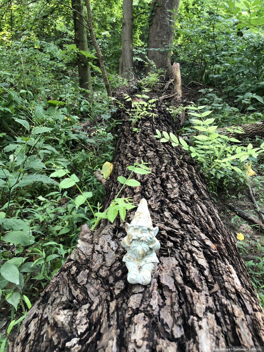 Доярушка. Постконкурс — Куклы Susi Eimer (Сюзи Эймер): Gotz (фото 3)