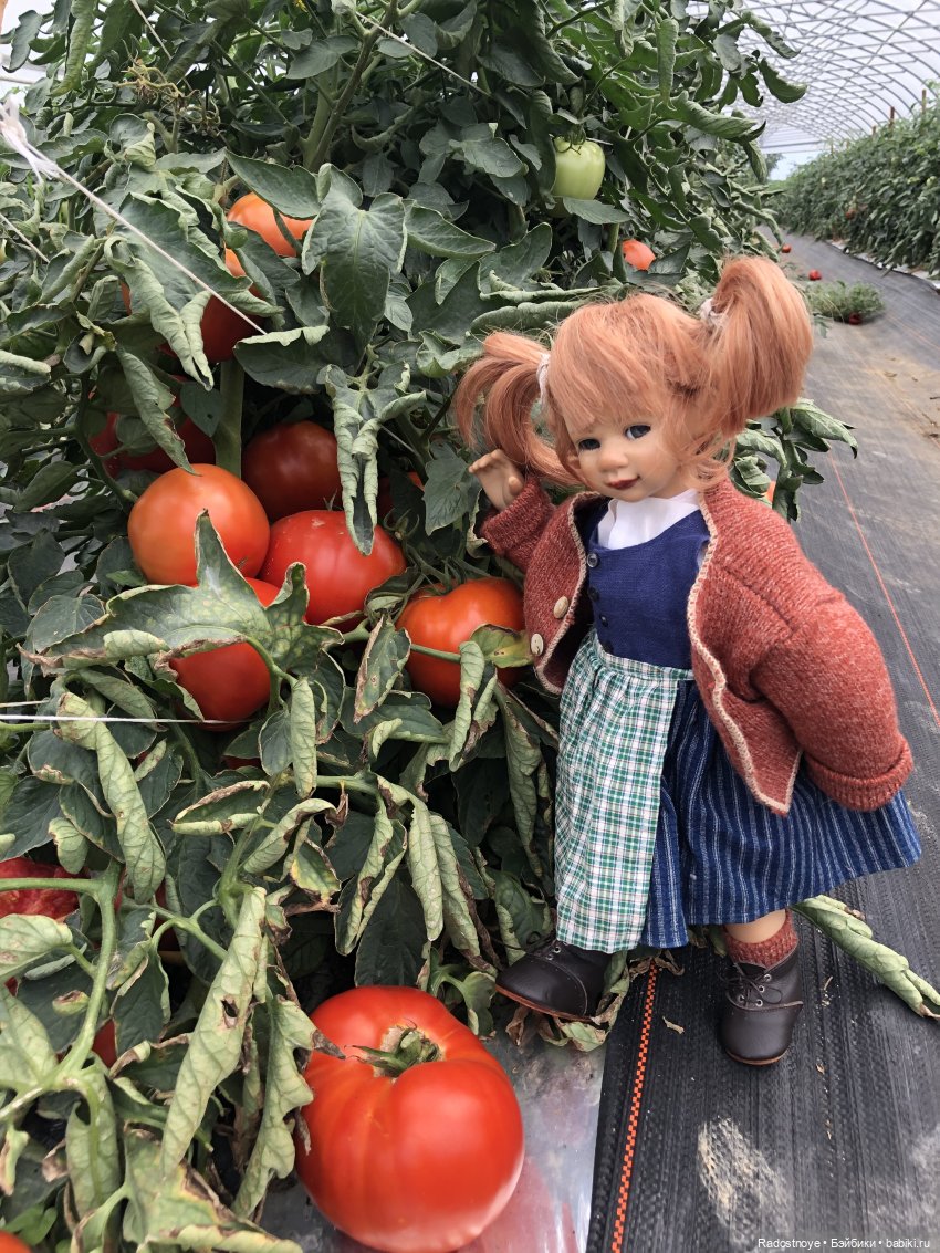 Доярушка. Постконкурс — Куклы Susi Eimer (Сюзи Эймер): Gotz