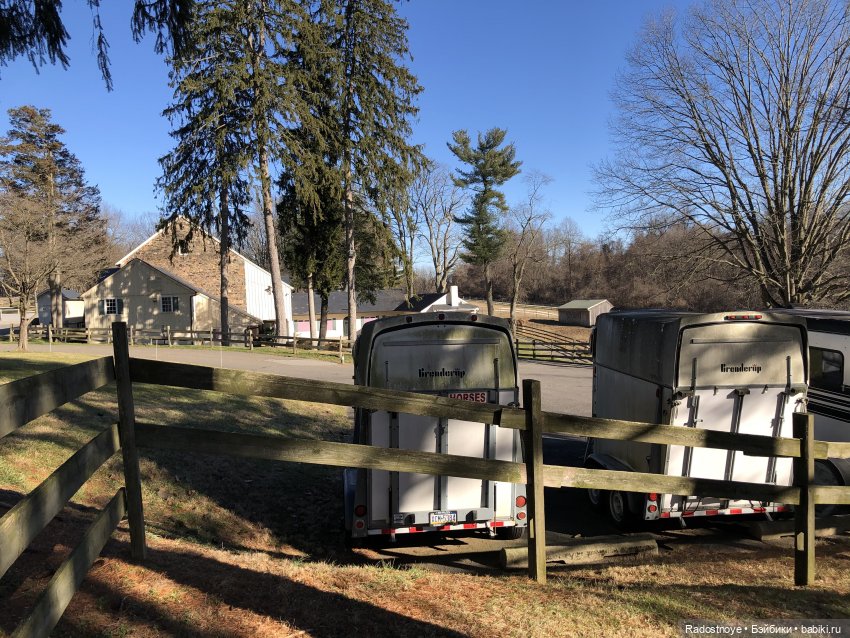 Играю по-крупному. Урок верховой езды (фото 4)