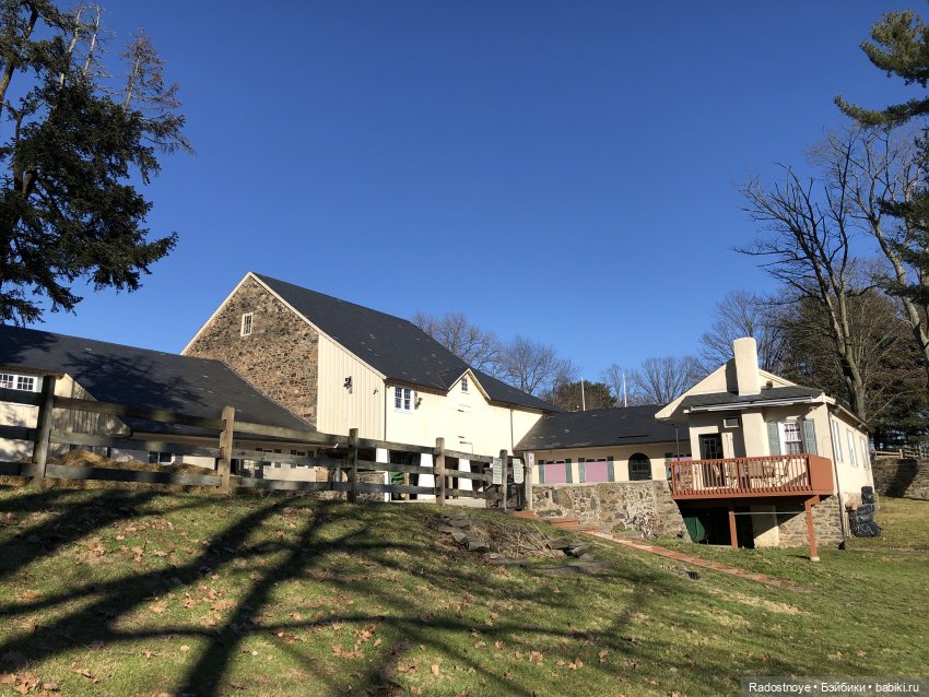 Играю по-крупному. Урок верховой езды (фото 3)