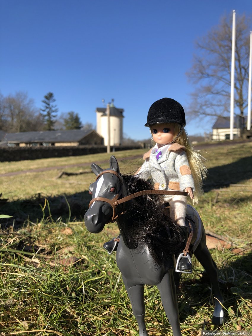 Играю по-крупному. Урок верховой езды (фото 8)