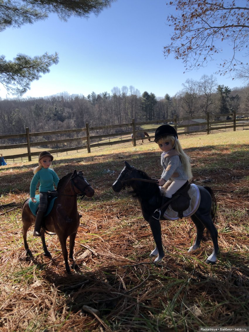 Играю по-крупному. Урок верховой езды (фото 10)