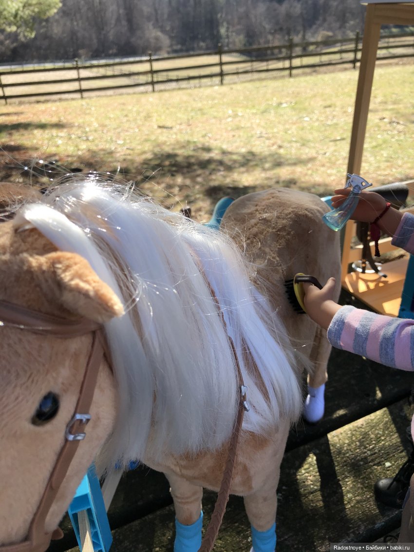 Играю по-крупному. Урок верховой езды