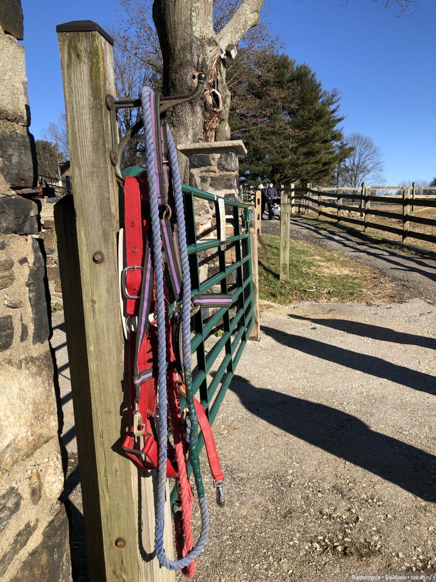 Играю по-крупному. Урок верховой езды