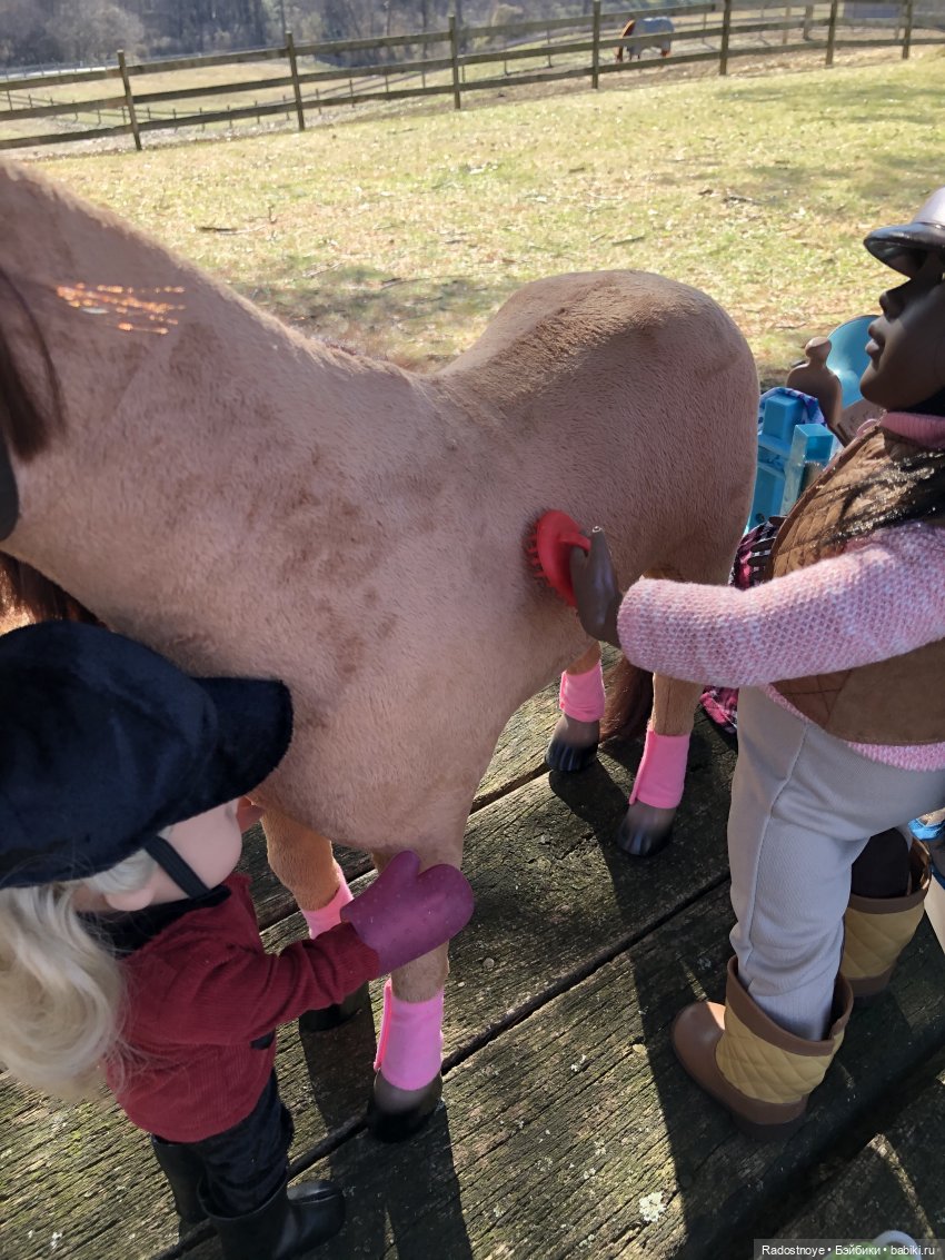 Играю по-крупному. Урок верховой езды