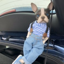 Мой бульдожек