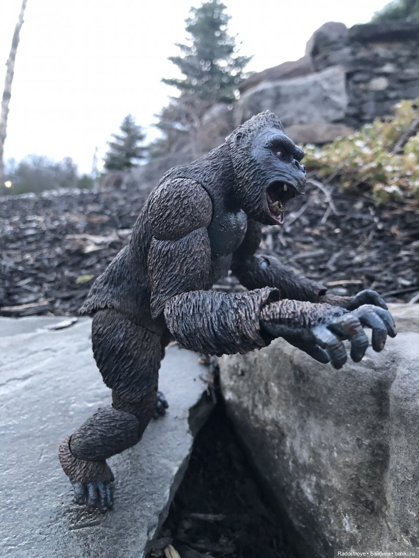 Опасные моменты сафари. Постконкурс