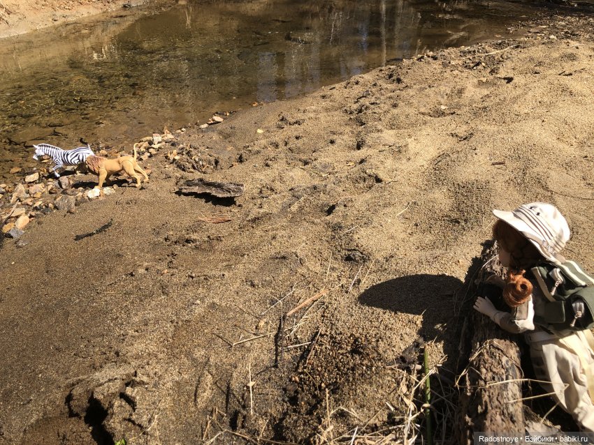 Опасные моменты сафари. Постконкурс