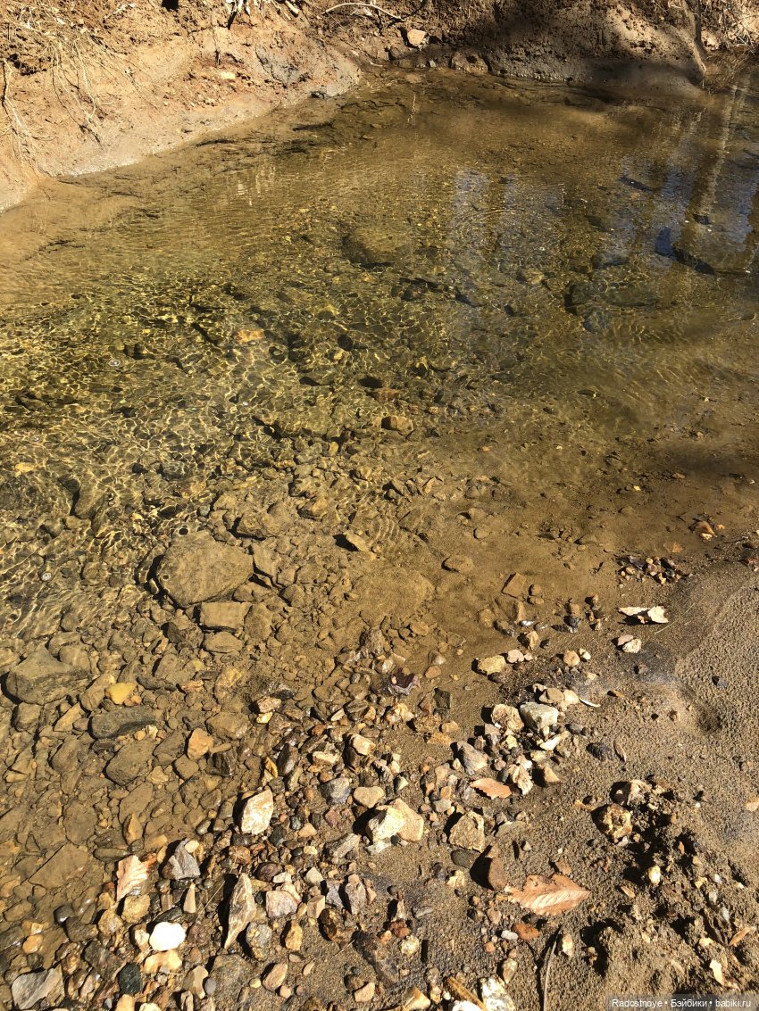 Опасные моменты сафари. Постконкурс