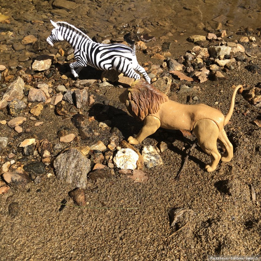 Опасные моменты сафари. Постконкурс