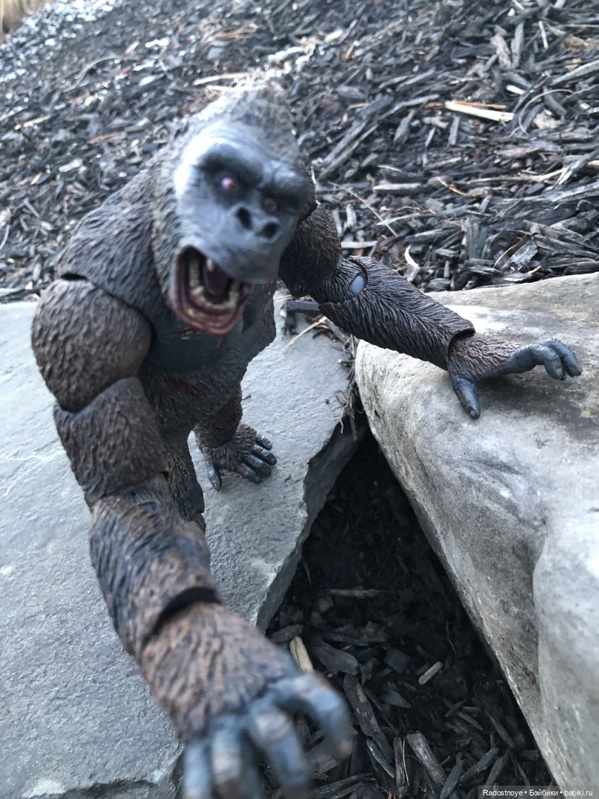 Опасные моменты сафари. Постконкурс