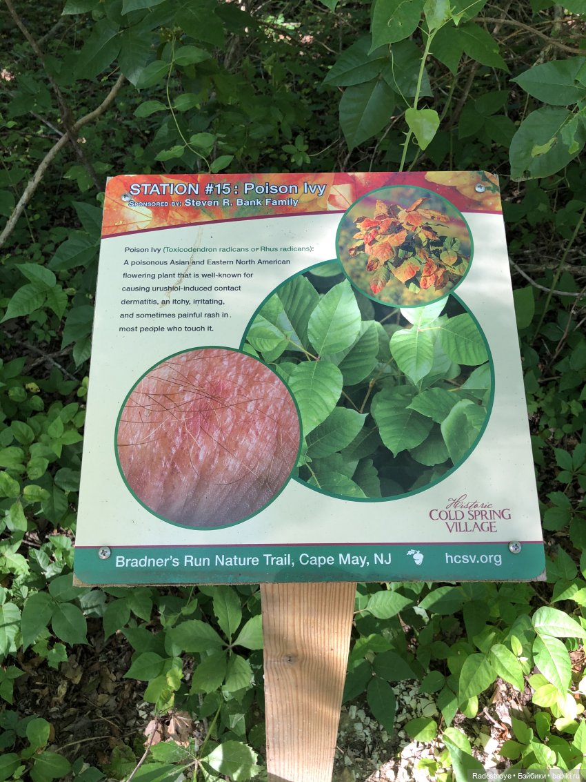 Тебе это удалось! Постконкурс