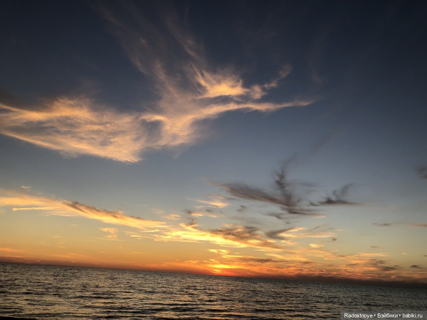 Новинки LOL. И цикада вылезает из шкурки