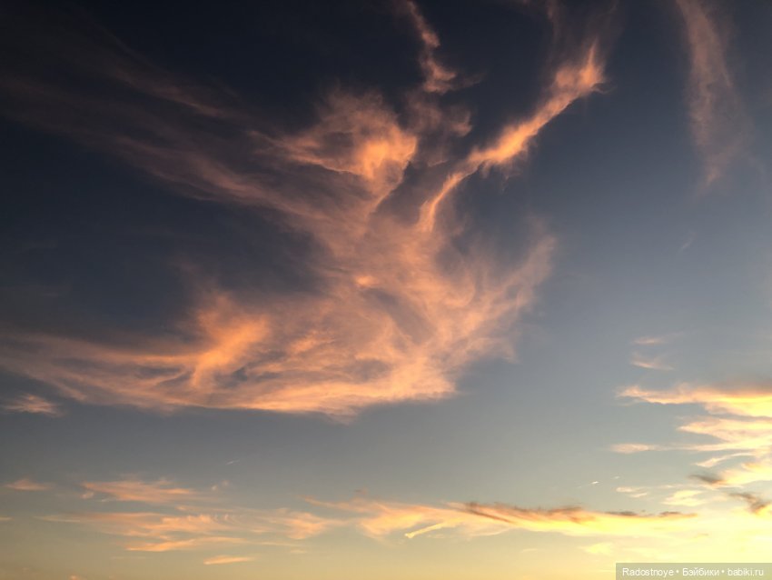 Новинки LOL. И цикада вылезает из шкурки