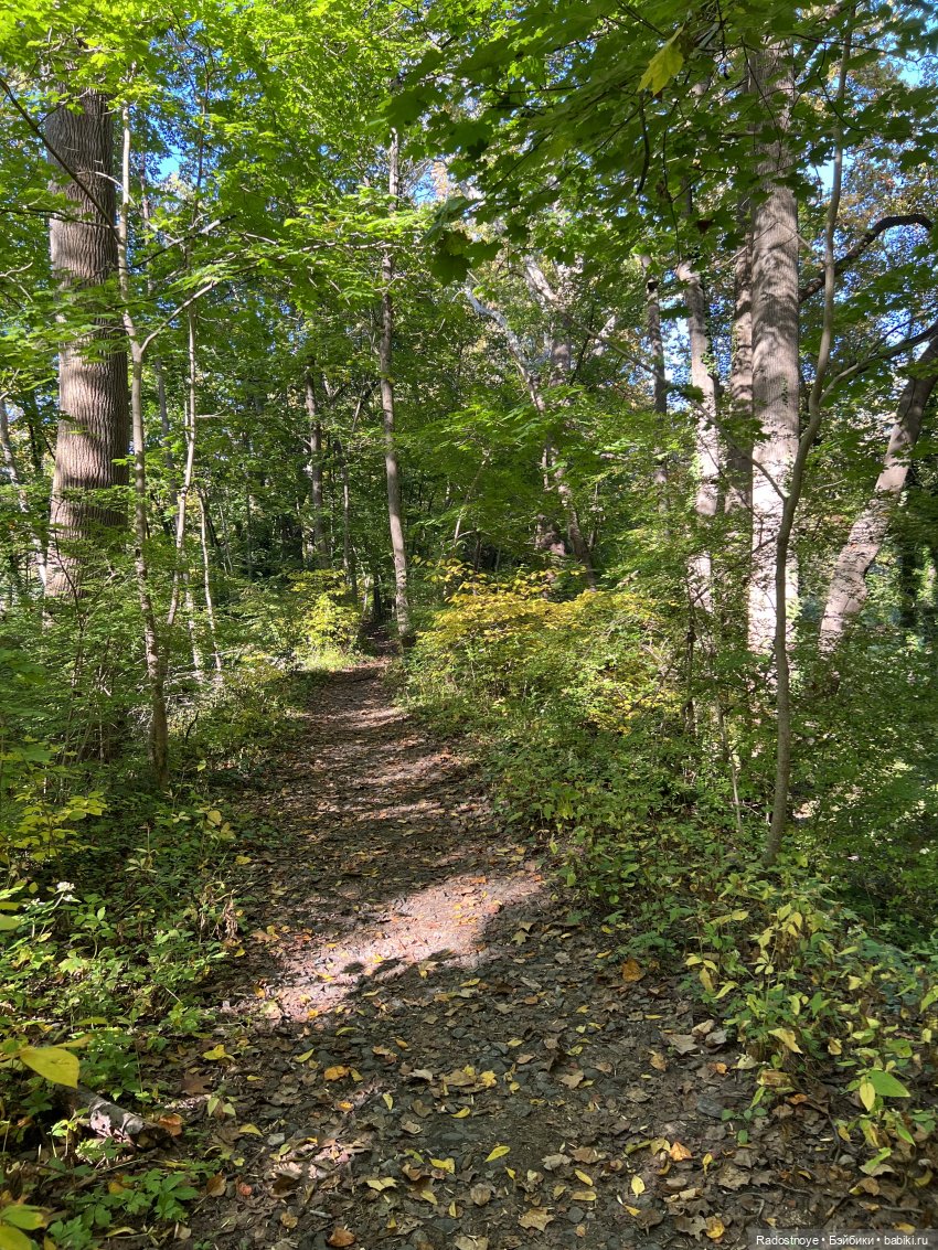 Куда привели меня ведьмочки…