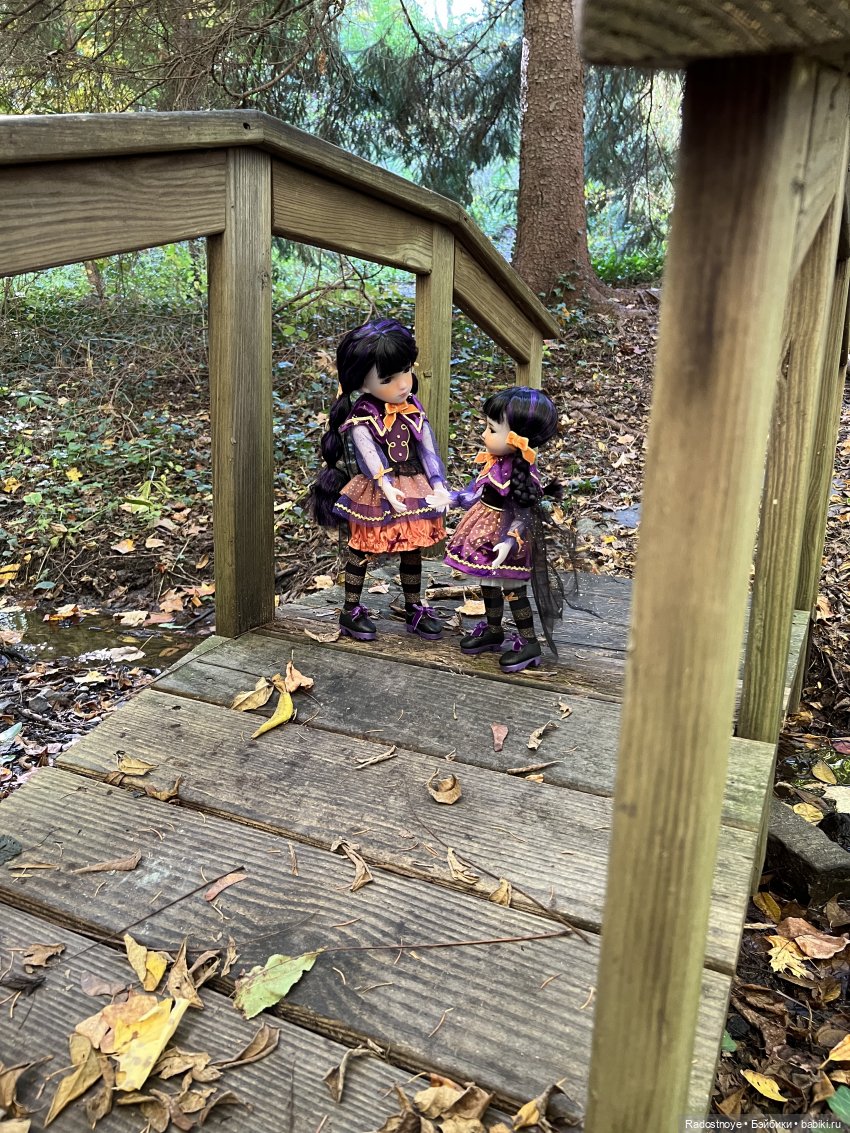 Куда привели меня ведьмочки…