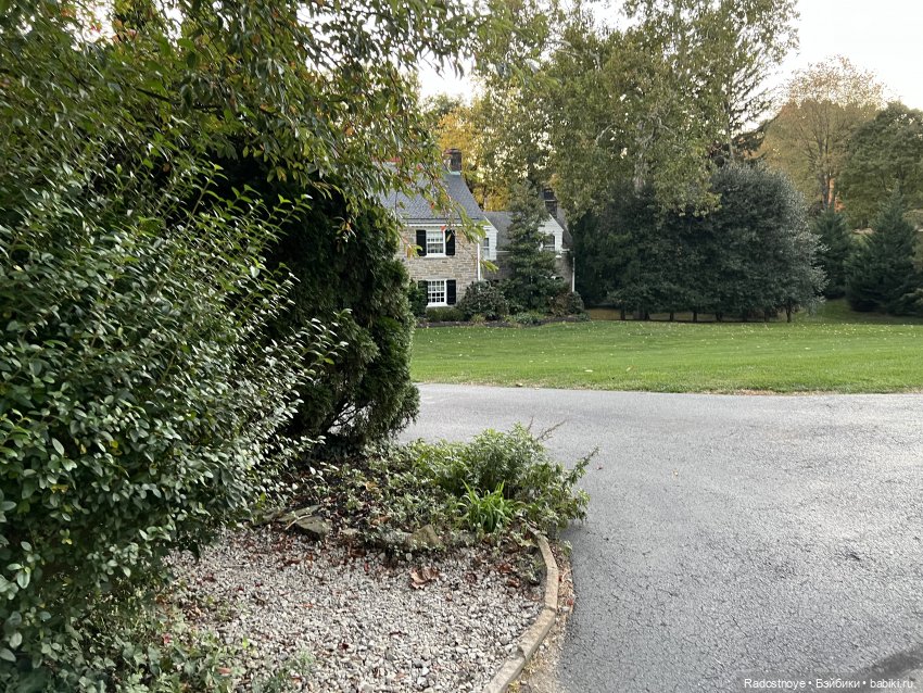 Куда привели меня ведьмочки…