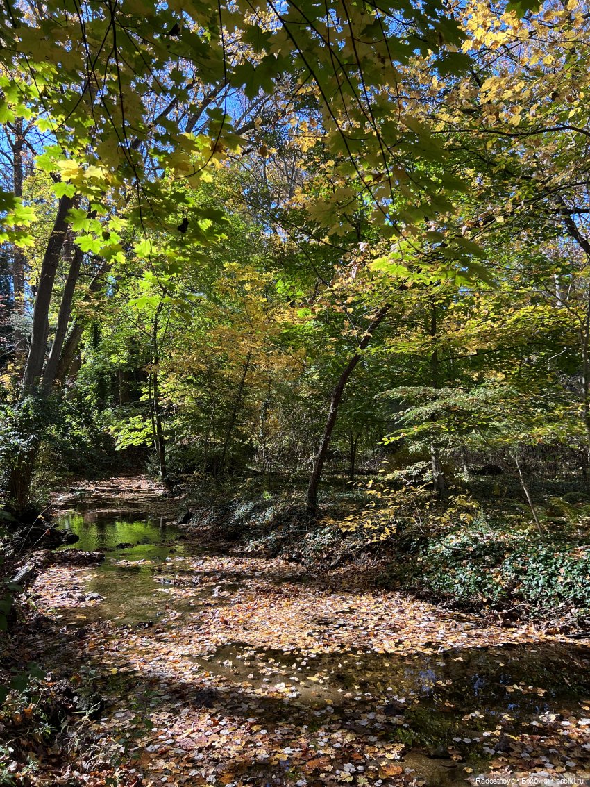 Куда привели меня ведьмочки…