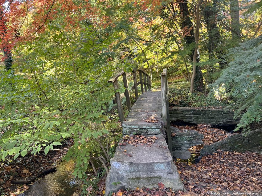 Куда привели меня ведьмочки…
