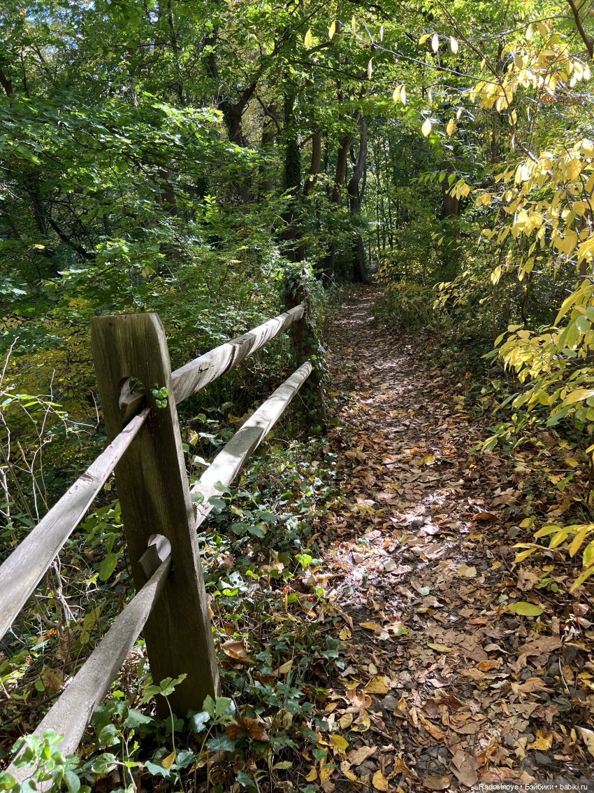 Куда привели меня ведьмочки…