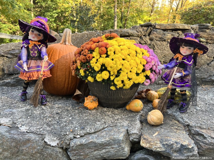 Куда привели меня ведьмочки…