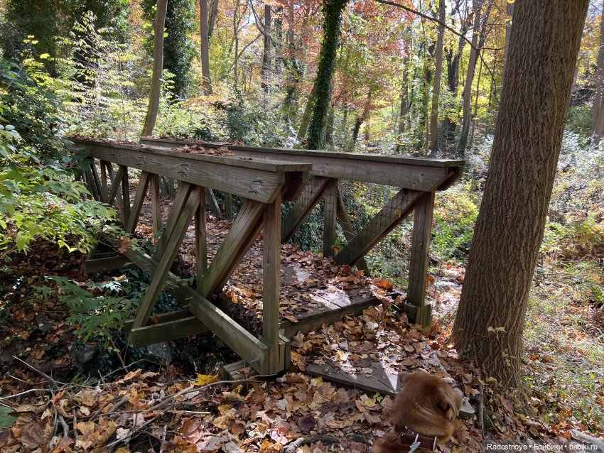 Куда привели меня ведьмочки…