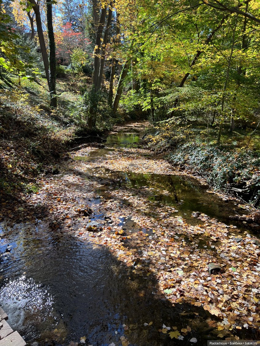 Куда привели меня ведьмочки…