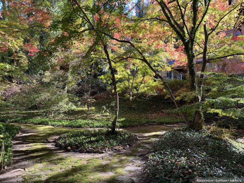 Куда привели меня ведьмочки…