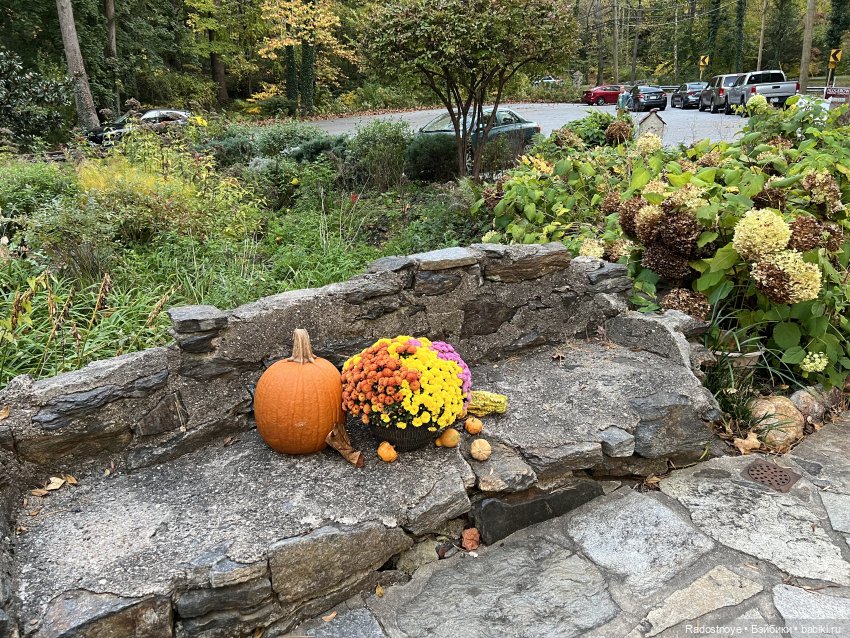 Куда привели меня ведьмочки…