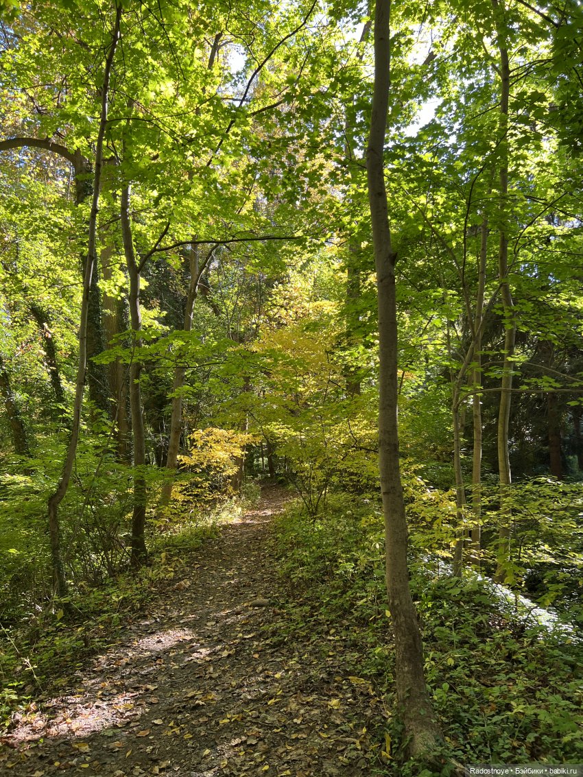 Куда привели меня ведьмочки…
