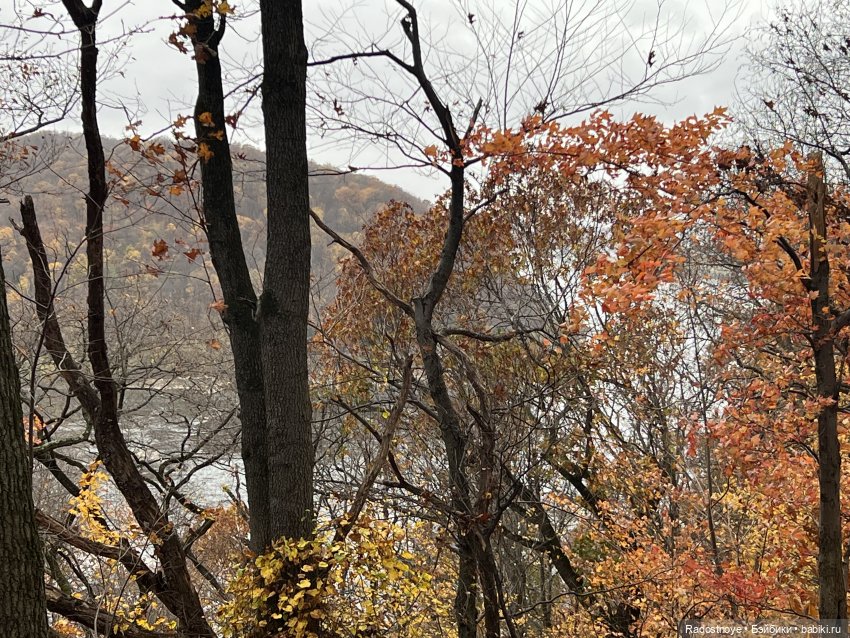 Приехали | Бэйбики Приехали — Новости конкурсов: план на год