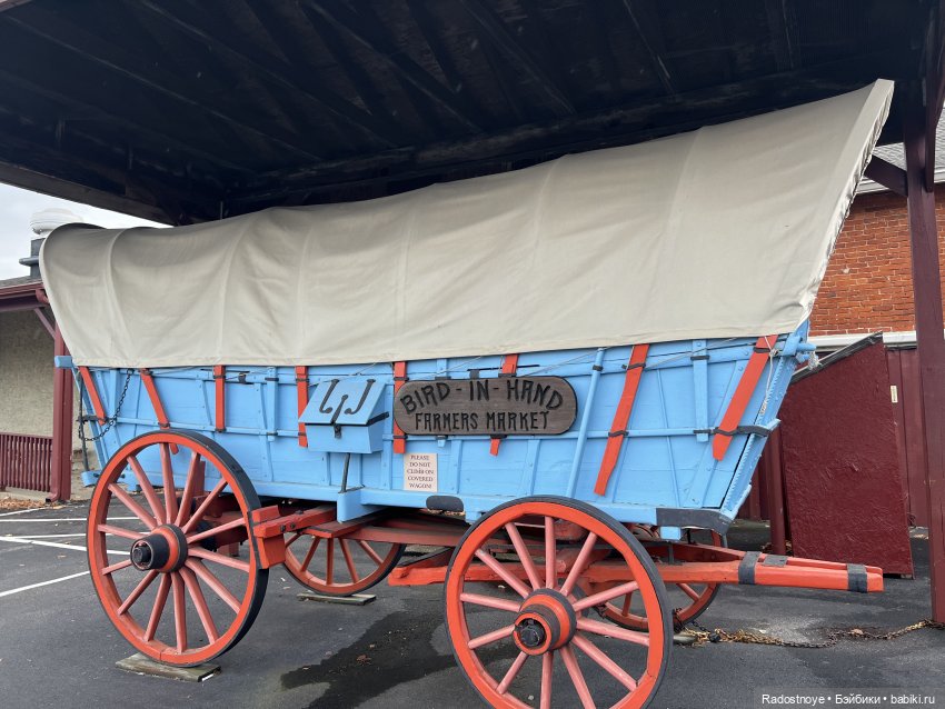 Приехали | Бэйбики Приехали — Новости конкурсов: план на год