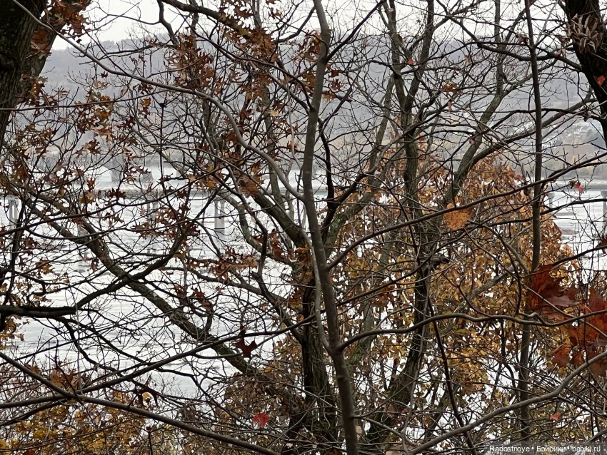 Приехали | Бэйбики Приехали — Новости конкурсов: план на год