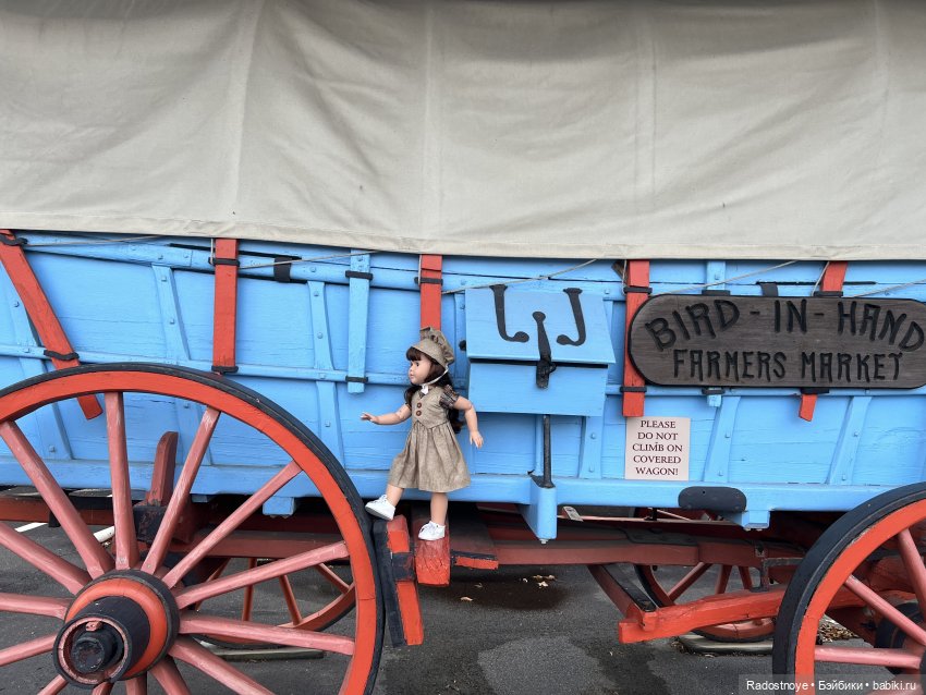 Приехали | Бэйбики Приехали — Новости конкурсов: план на год