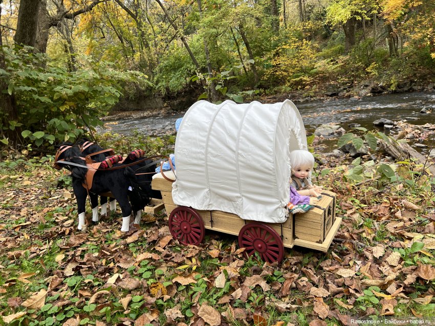 Приехали | Бэйбики Приехали — Новости конкурсов: план на год