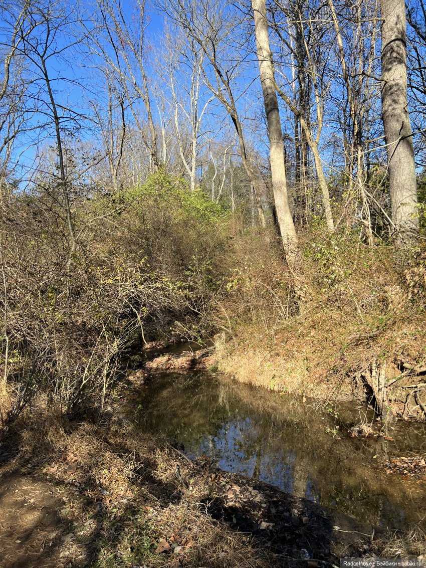 Априлия в декабрилии — Игровые куклы Zwergnase (Цвергназе) Junior: Джуниор