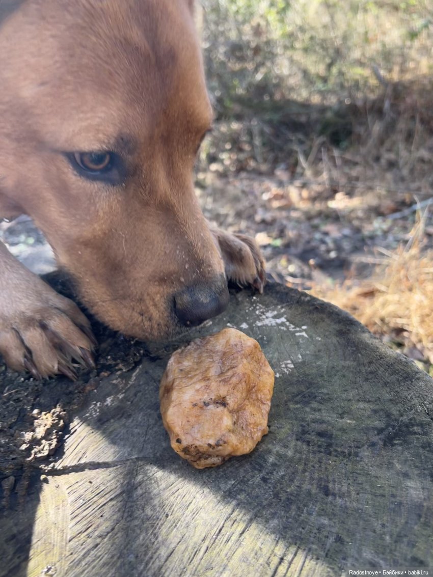 Априлия в декабрилии — Игровые куклы Zwergnase (Цвергназе) Junior: Джуниор