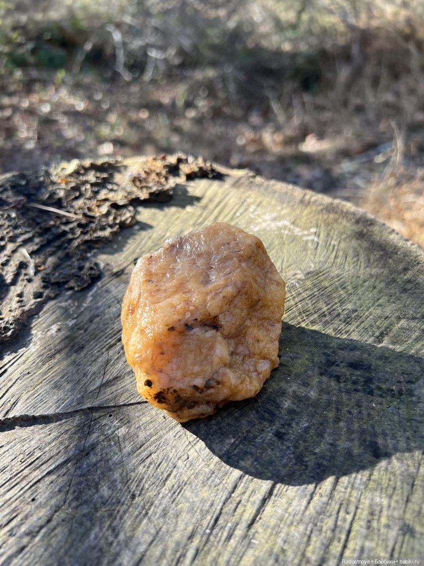 Априлия в декабрилии — Игровые куклы Zwergnase (Цвергназе) Junior: Джуниор