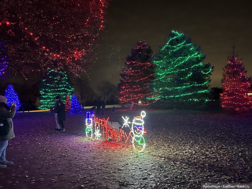 Северное Сияние в местном парке