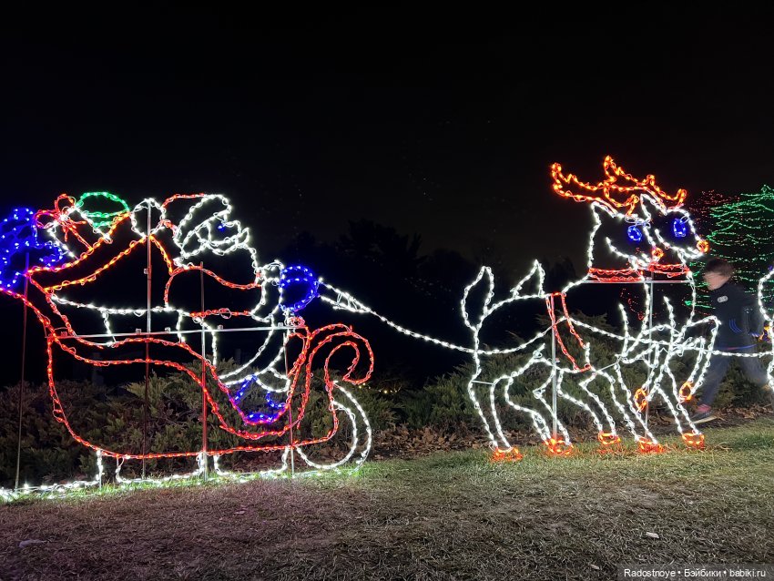 Северное Сияние в местном парке