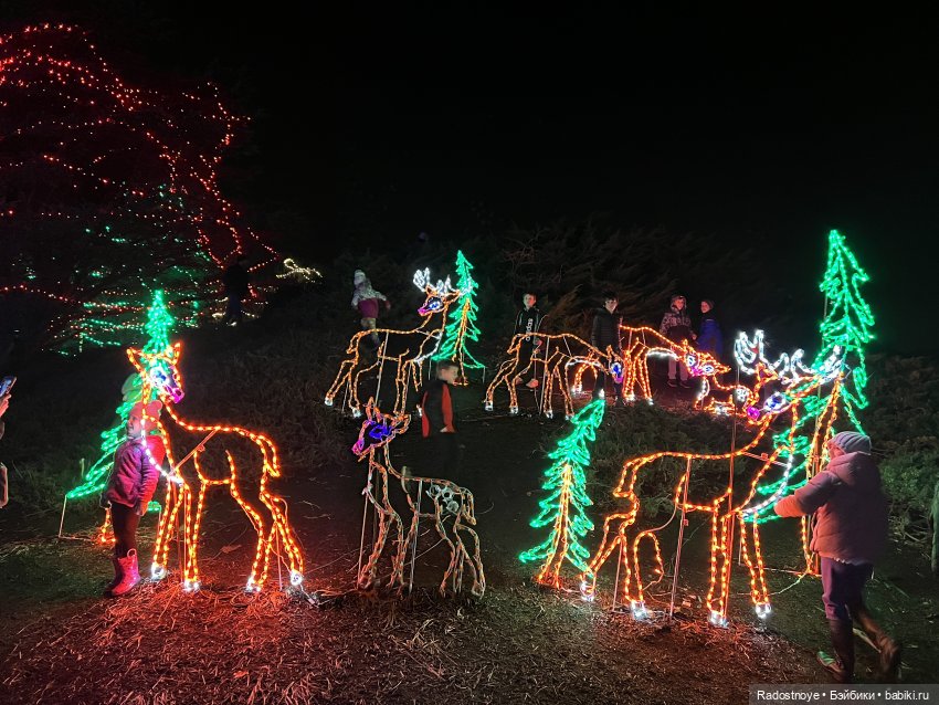 Северное Сияние в местном парке