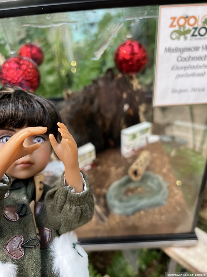 Джой в Hershey — Куклы Ruby Red (Руби Ред) Fashion Friends: Siblies