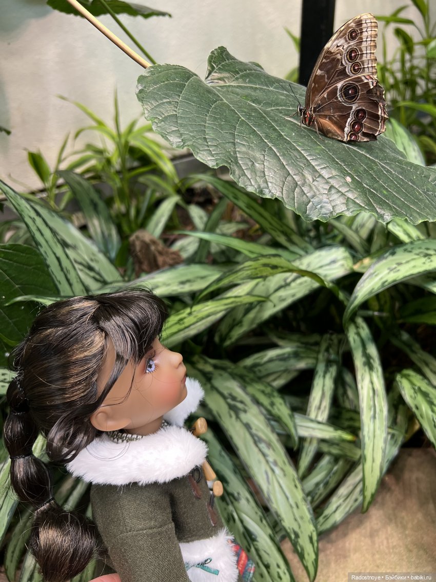 Джой в Hershey — Куклы Ruby Red (Руби Ред) Fashion Friends: Siblies