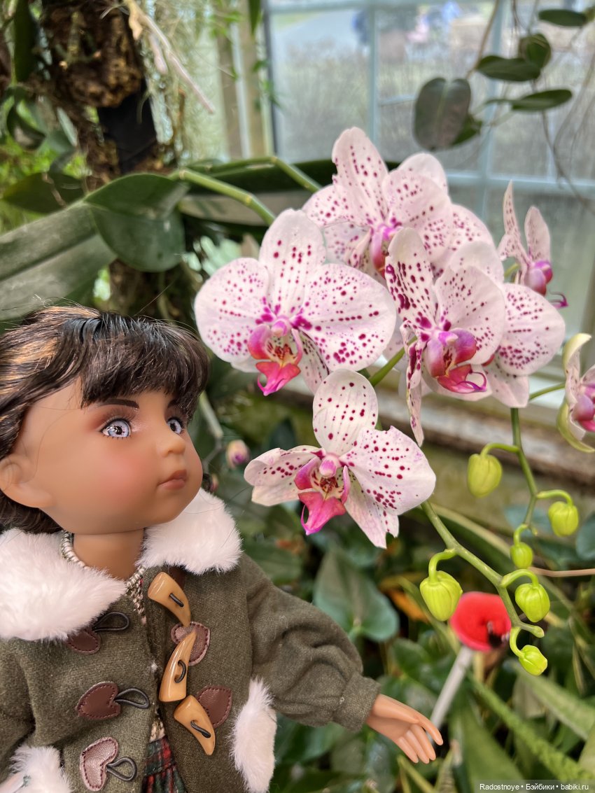 Джой в Hershey — Куклы Ruby Red (Руби Ред) Fashion Friends: Siblies